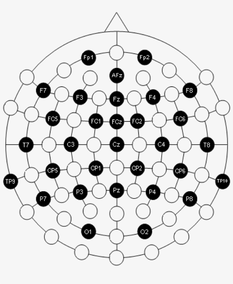Small Equidistant 29 Channel Arrangment - 10 20 System, transparent png