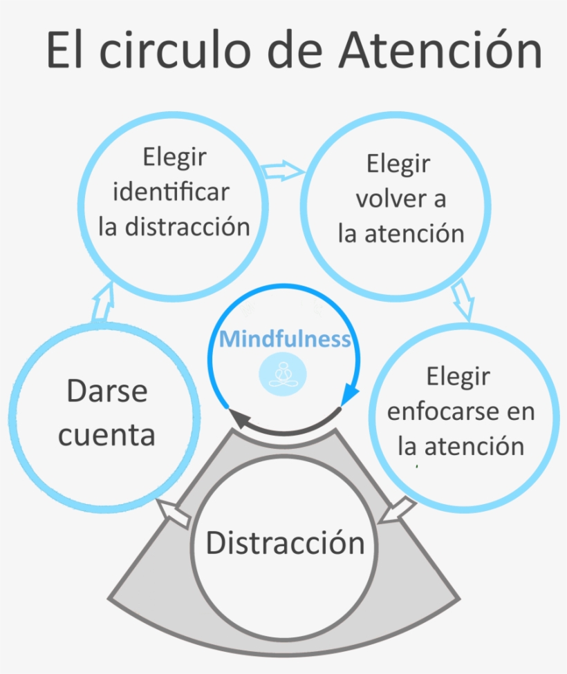 Circulo De Atención, transparent png