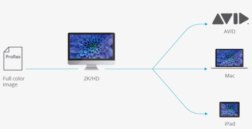 Dual Workflow Enables Raw To Go To The Raids And Lto - Led-backlit Lcd Display, transparent png