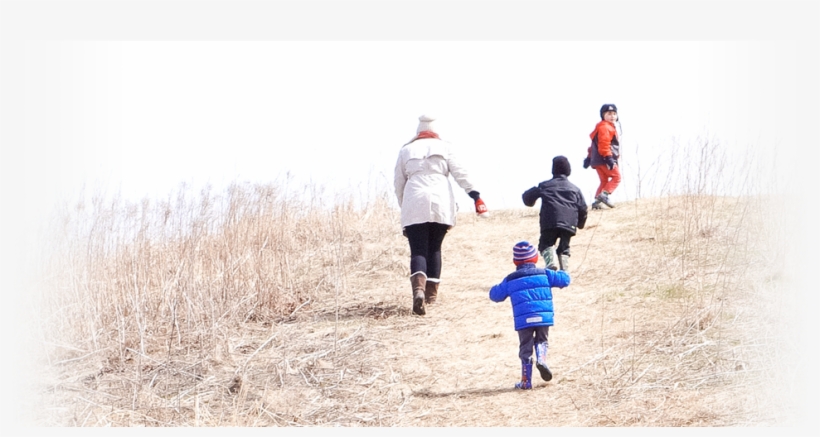 Drop-in To Fortwhyte Alive Through Spring Break To - Jogging, transparent png