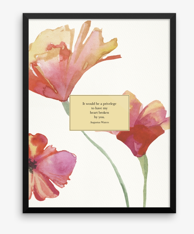 It Would Be A Privilege To Have My Heart Broken By - The Fault In Our Stars, transparent png