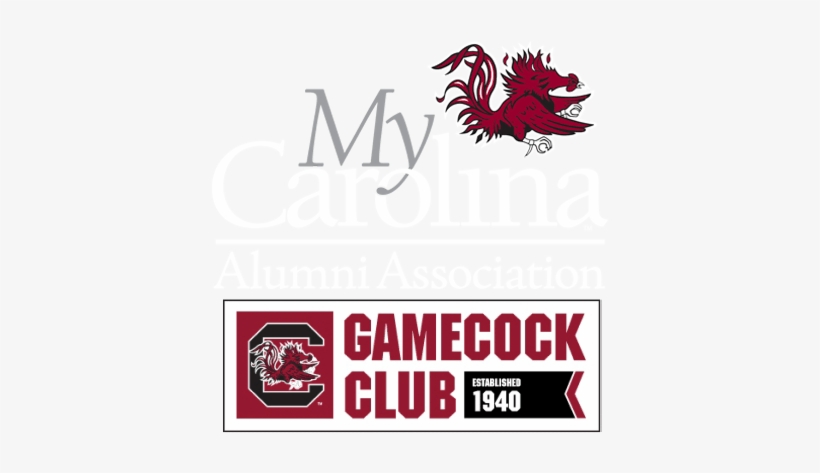 South Carolina Gamecocks - Sc Gamecocks Holographic Portfolio, transparent png