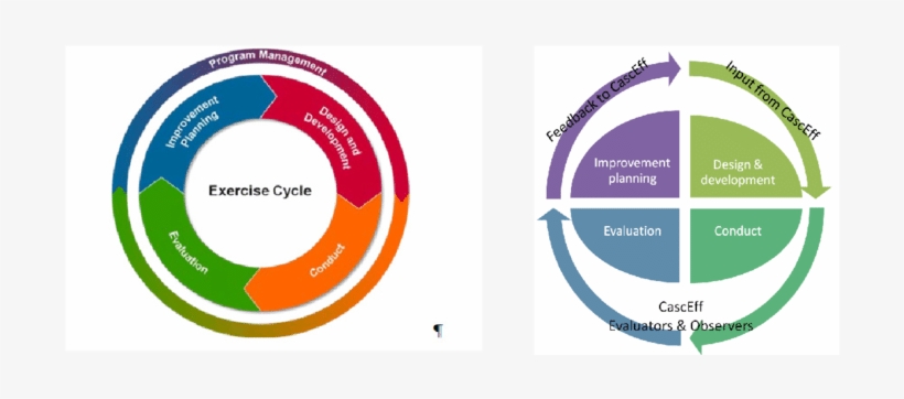 The Hseep/fema And Casceff Exercise Cycles - Circle, transparent png