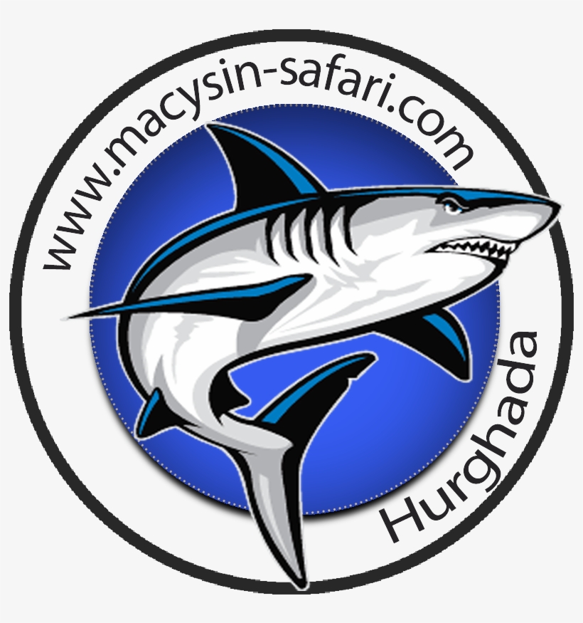 Logo - Plaza De Armas De Paiján, transparent png