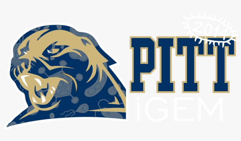 Team - Pitt - 2014 - Igem - Org - " - Ncaa Pittsburgh Panthers Digital Desk Clock Picture, transparent png