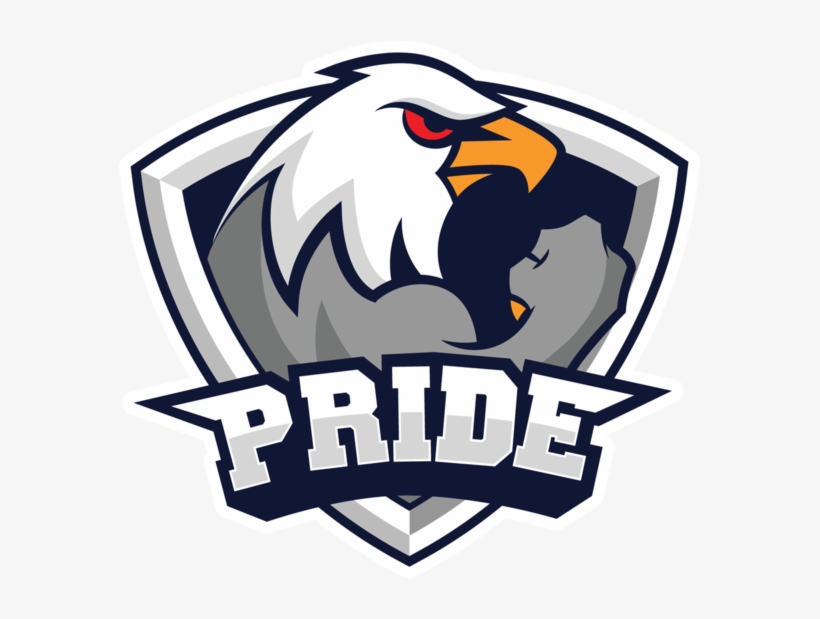 This Is A Post From The G2 Esports Website, Published - Pride Csgo, transparent png
