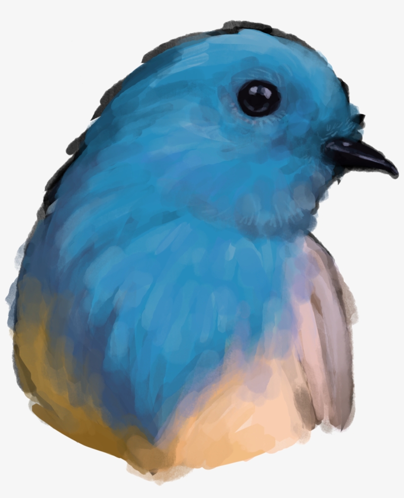 Yu Han Wang - Mountain Bluebird, transparent png