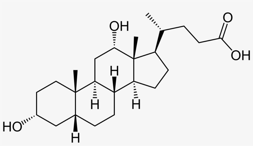 Deoxycholic Acid - Great Testosterone Myth [book], transparent png