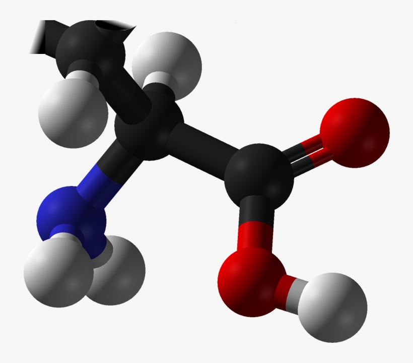 L-amino Acid Any - Amino Acids Png, transparent png