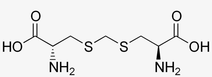 Djenkolic Acid - L Arginine Monohydrochloride, transparent png