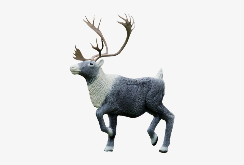 Caribou - 3 D Targets, transparent png