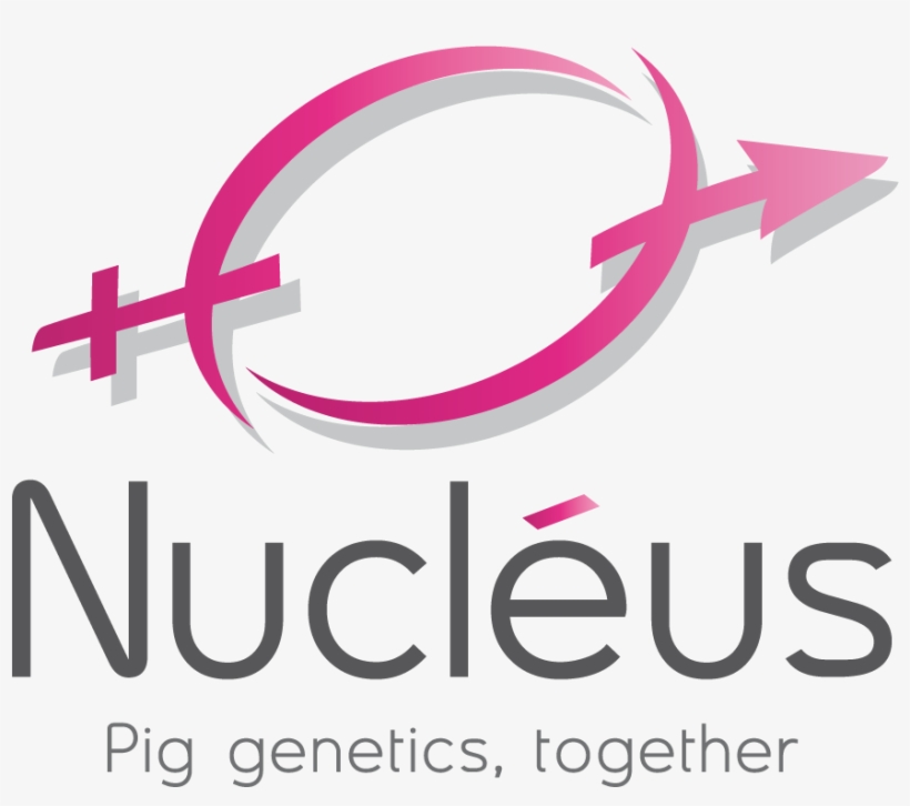 Logo Nucléus - Nucleus Cooperl, transparent png