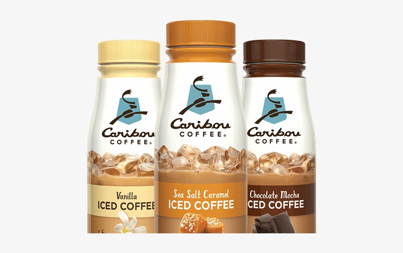 Free Bottle Of Caribou Iced Coffee - Caribou Mocha Iced Coffee, transparent png