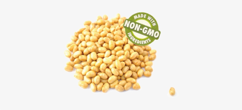 Soybean Non Gmo Brazil - Anna And Sarah Soybeans Roasted & Unsalted, transparent png