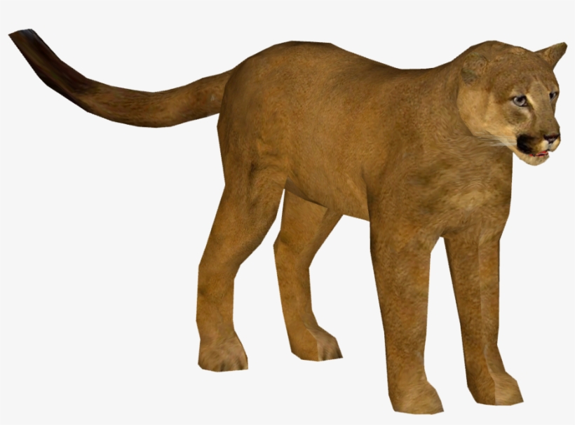 papo puma