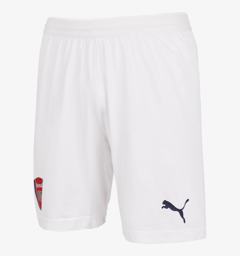 Free Download Puma Clipart Puma Bermuda Shorts - Shorts, transparent png