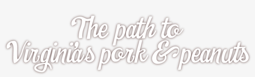 The Southeastern Region Of Virginia Has Long Been Known - Neon Sign, transparent png