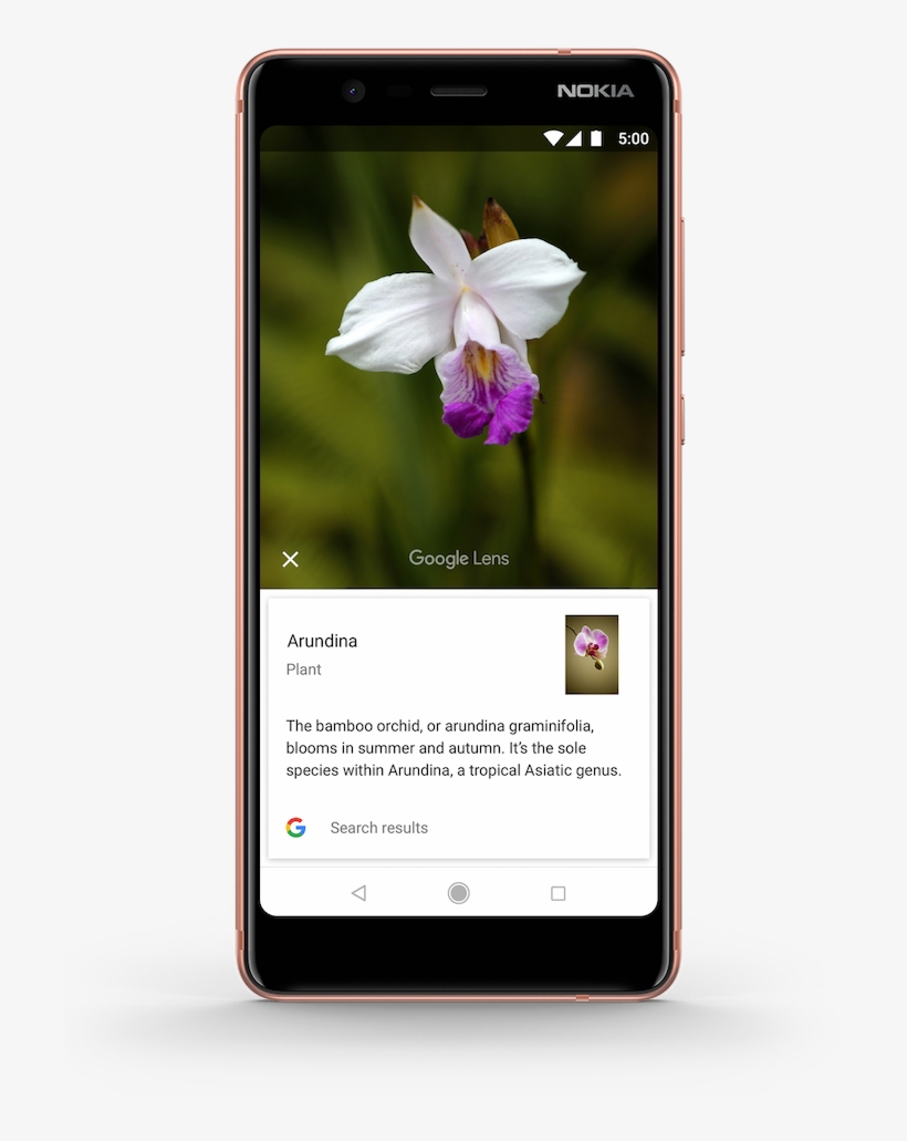 Mit Google Lens Erfährst Du Mehr Über Das, Was Auf - Google Lens, transparent png