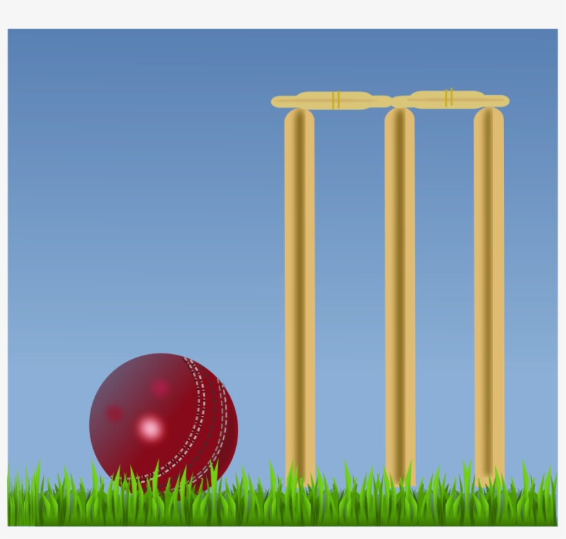 How To Set Use Cricket Illustration Clipart, transparent png
