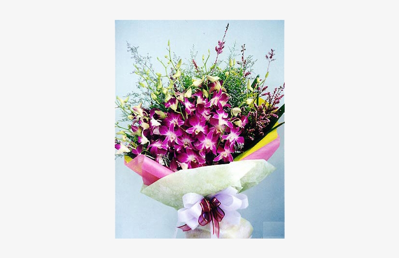Hb O102 Welcome To Singapore - Singapore, transparent png