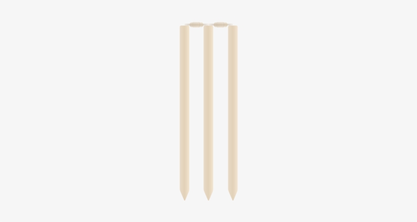 Related Wallpapers - Cricket Stump Vector Png, transparent png