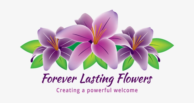 About Us - Forever Lasting Flowers, transparent png