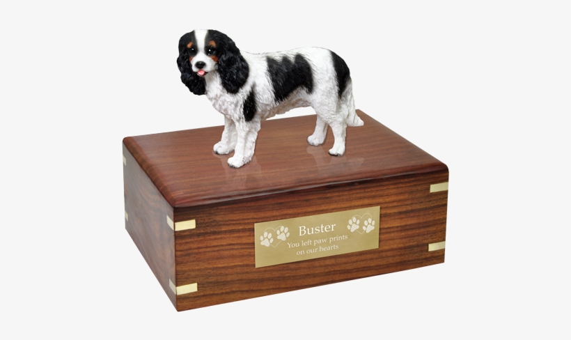 Tricolor Cavalier King Charles Spaniel Wood Urn W/ - Pug Urn, transparent png