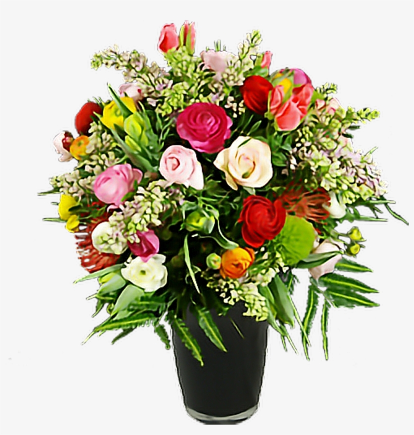 Flowers Pretty Beautiful Pettlesplant Plants Nature - Photography, transparent png