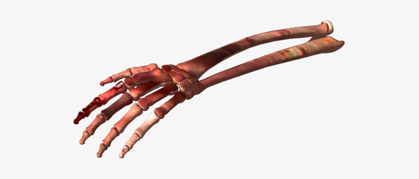 Bone Png Clipart - Bone Png, transparent png