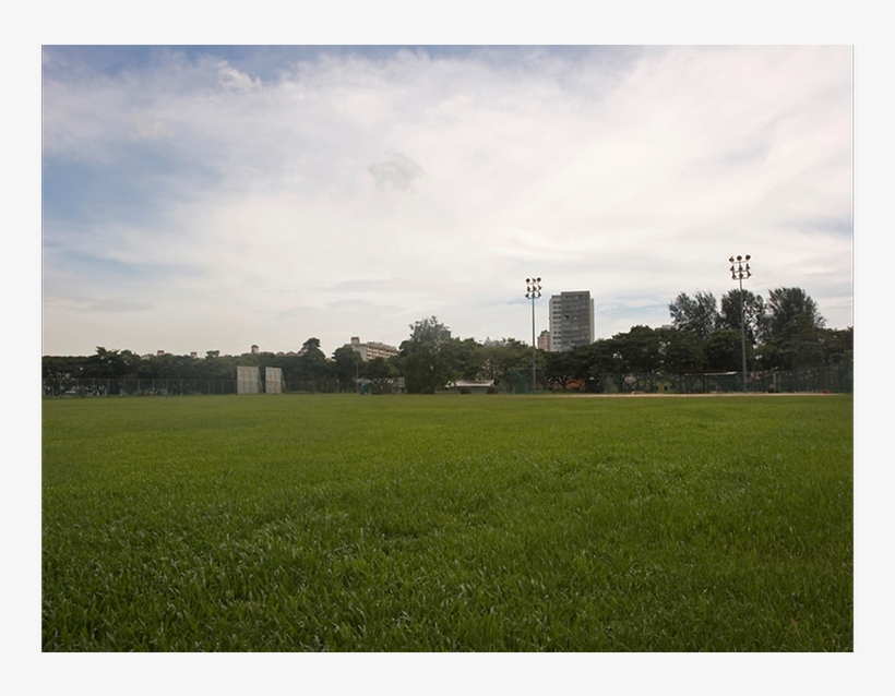 Singapore's National Team Lose Their Training Ground - Grass, transparent png