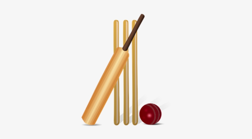 How To Get Into Cricket - Cricket Clipart, transparent png