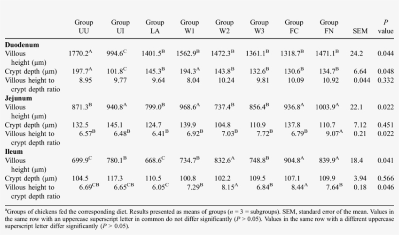 Effects Of Probiotics Via Feed Or Drinking Water On - Drinking Water, transparent png
