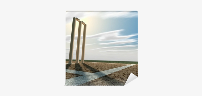 Cricket Pitch And Wickets Perspective Wall Mural • - Cricket Pitch Background, transparent png