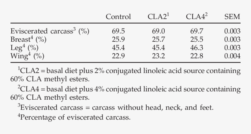 Carcass Yield Of Broiler Chicken - Blocksatz, transparent png