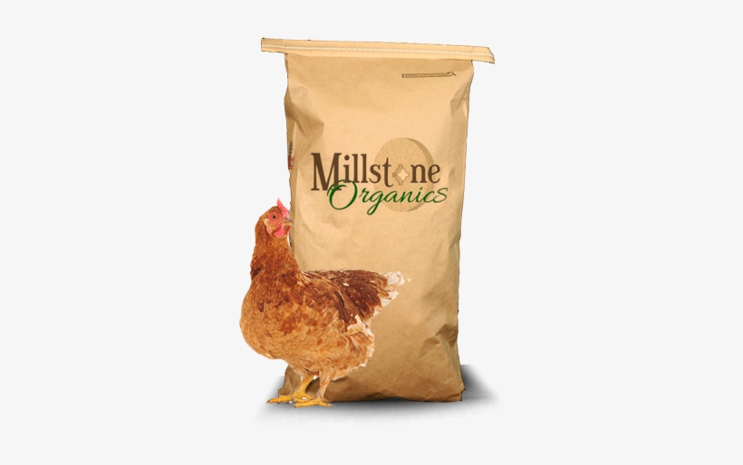 Organic Broiler - Mikrop Mikros Nosnice 1kg, transparent png