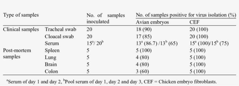 Newcastle Disease Virus Isolated From The Clinical - Disease, transparent png