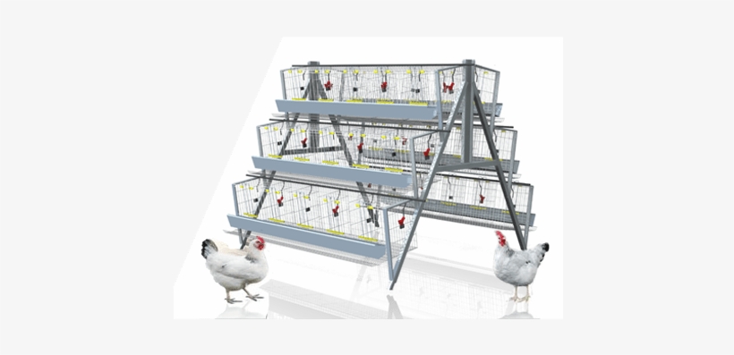 120 Birds Chicken Battery Cages - Battery Cages For Layers, transparent png