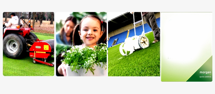 Mainpic - Artificial Turf, transparent png