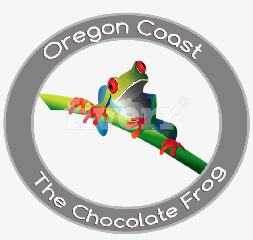 Red-eyed Tree Frog, transparent png