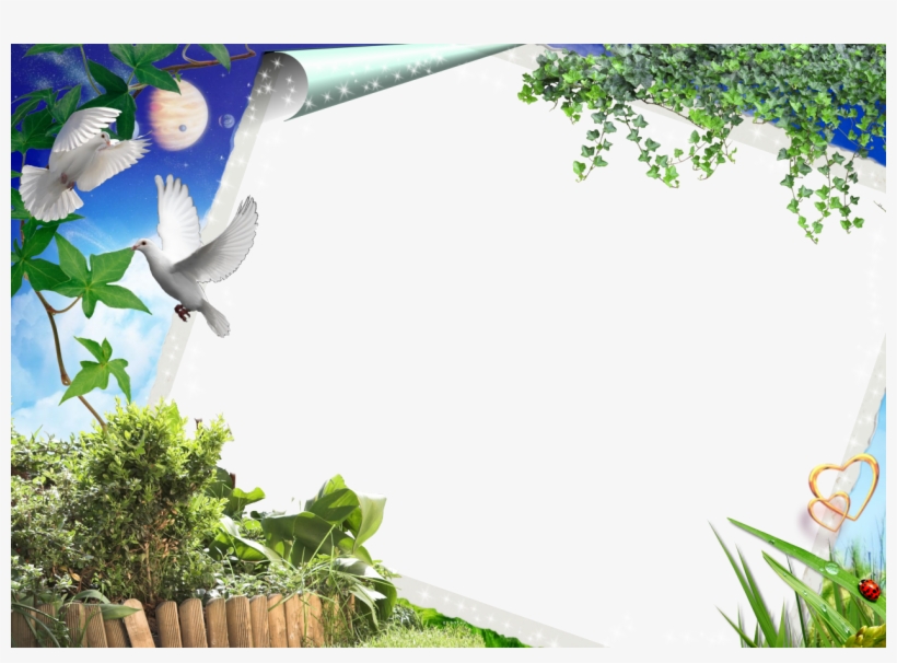 Transparent Png In Photoshop Image Black And White - Transparent Photo Frames Png, transparent png