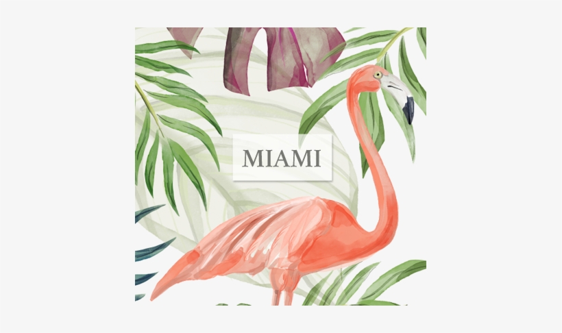 Miami Hurricanes Football, transparent png