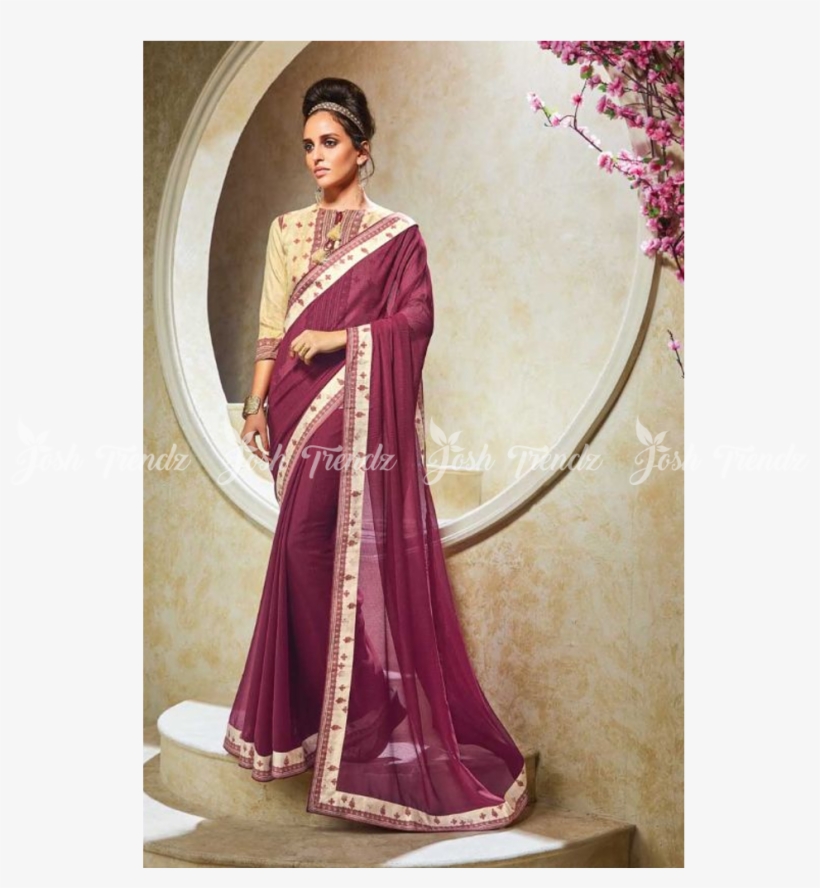 Sari, transparent png