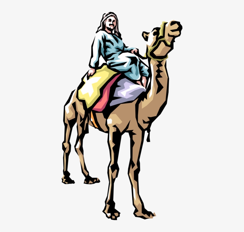 Vector Illustration Of Middle Eastern Beast Of Burden - Syria Lebanon And Jordan, transparent png
