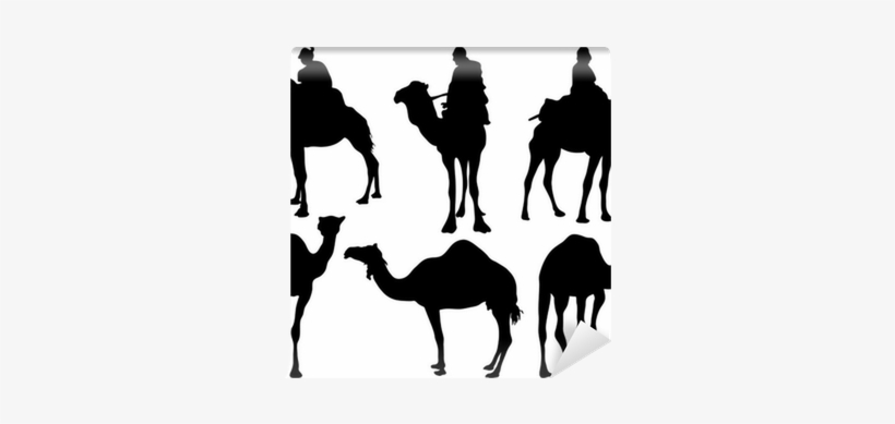 Black Silhouettes Of Camels, Vector Wall Mural • Pixers® - Silhouette, transparent png