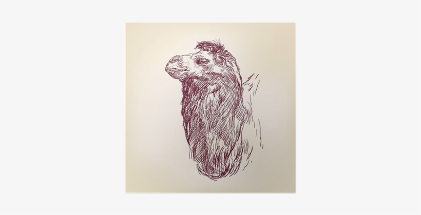 Stock Illustration, transparent png