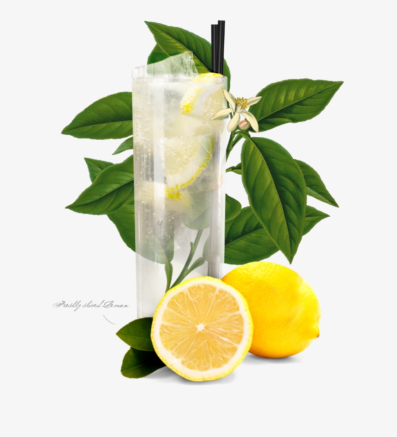Tom Collins - Tom Collins Png, transparent png