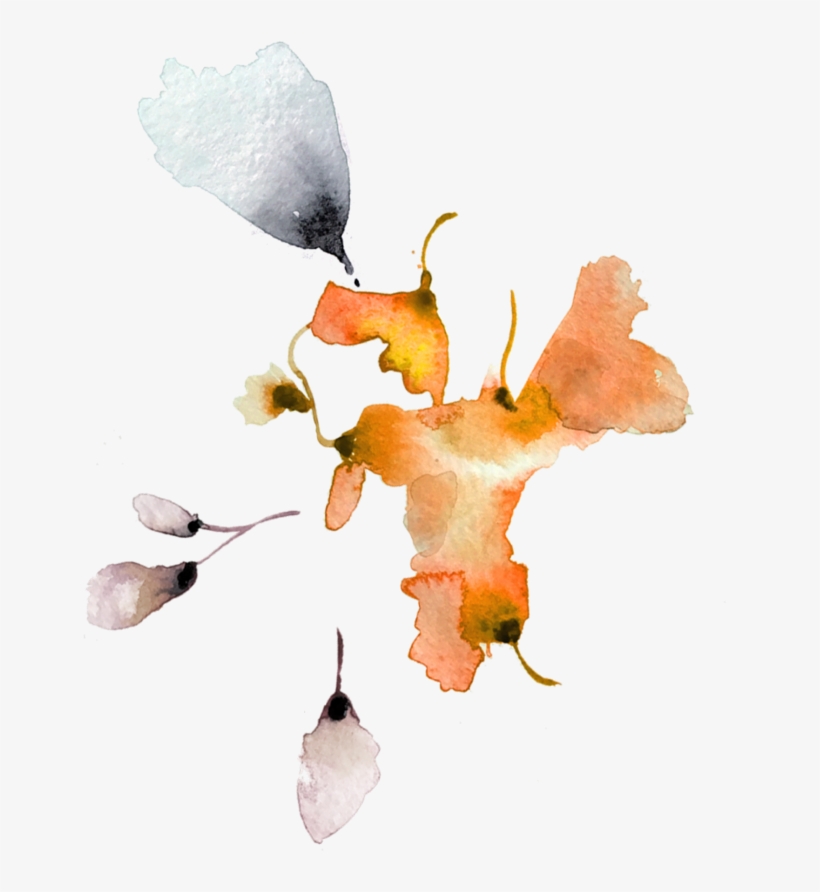 Lookbook River Blossom Leaves - Lookbook, transparent png
