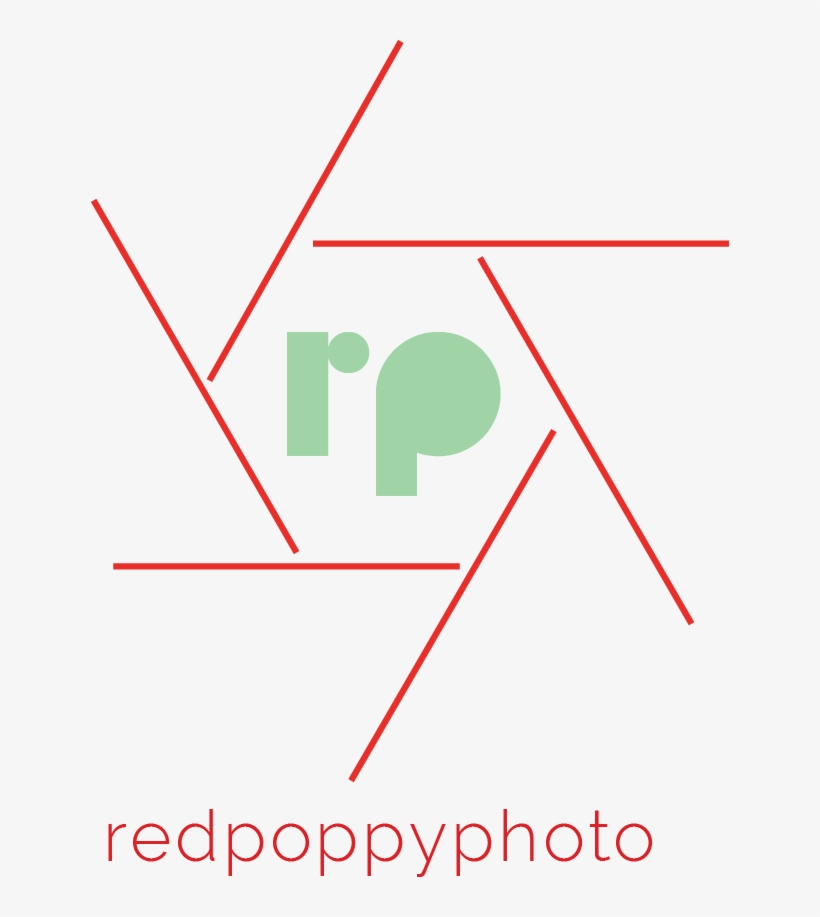 Red Poppy Photo Red Poppy Photo - Equilateral Triangle, transparent png