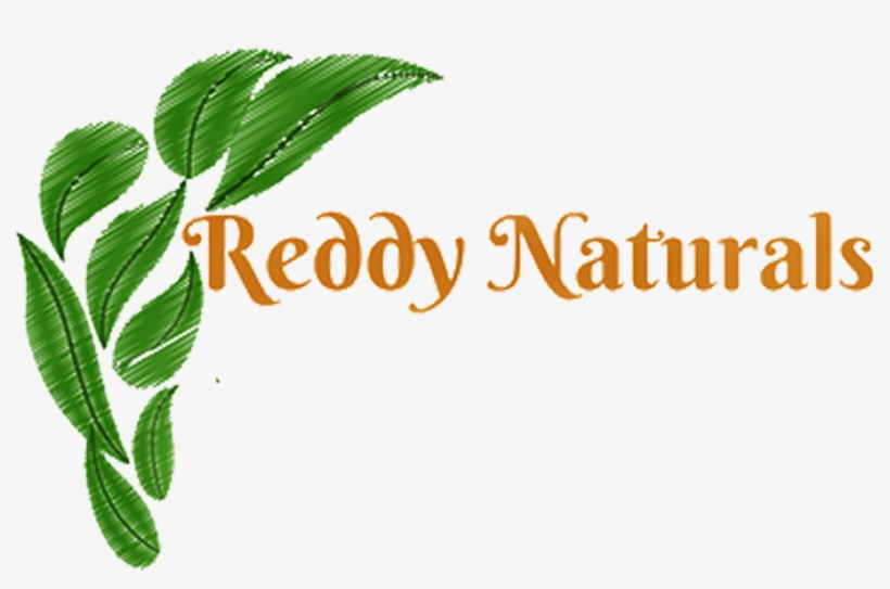 Reddy Naturals Reddy Naturals - Green Leaves Drawing, transparent png