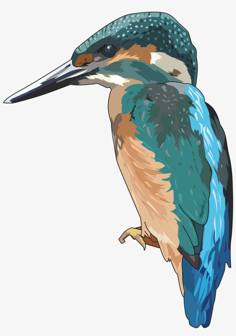 Icons Png Free And - Kingfisher Clipart, transparent png